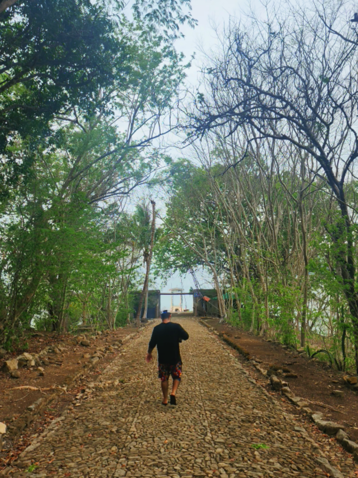 @Rasta Tours CR