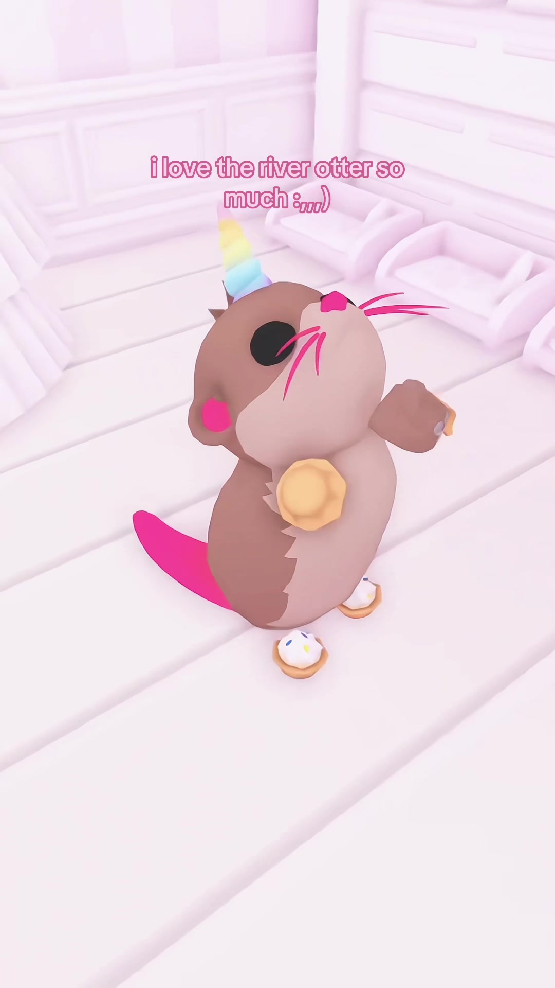@paw 𑣲