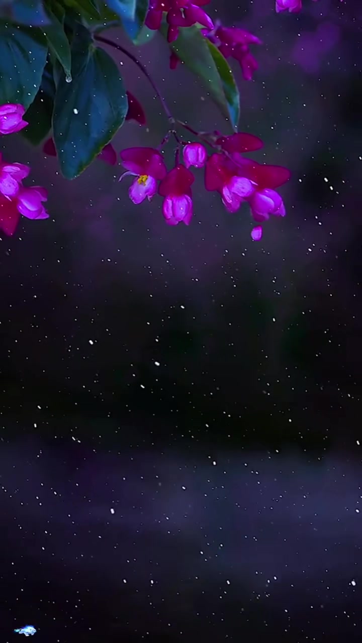 @🎵🧚✨Sexy_Cristy✨🧚♂️🎼🐦🔥