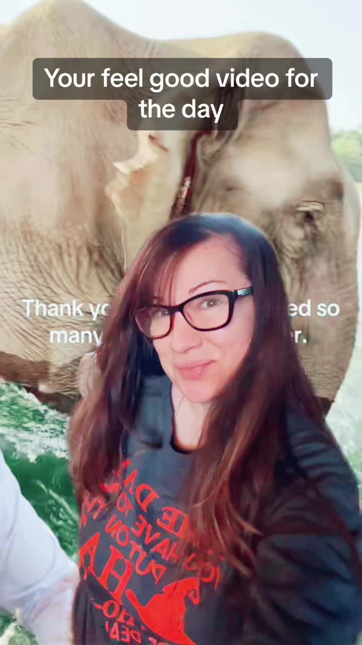 @Animal Antics