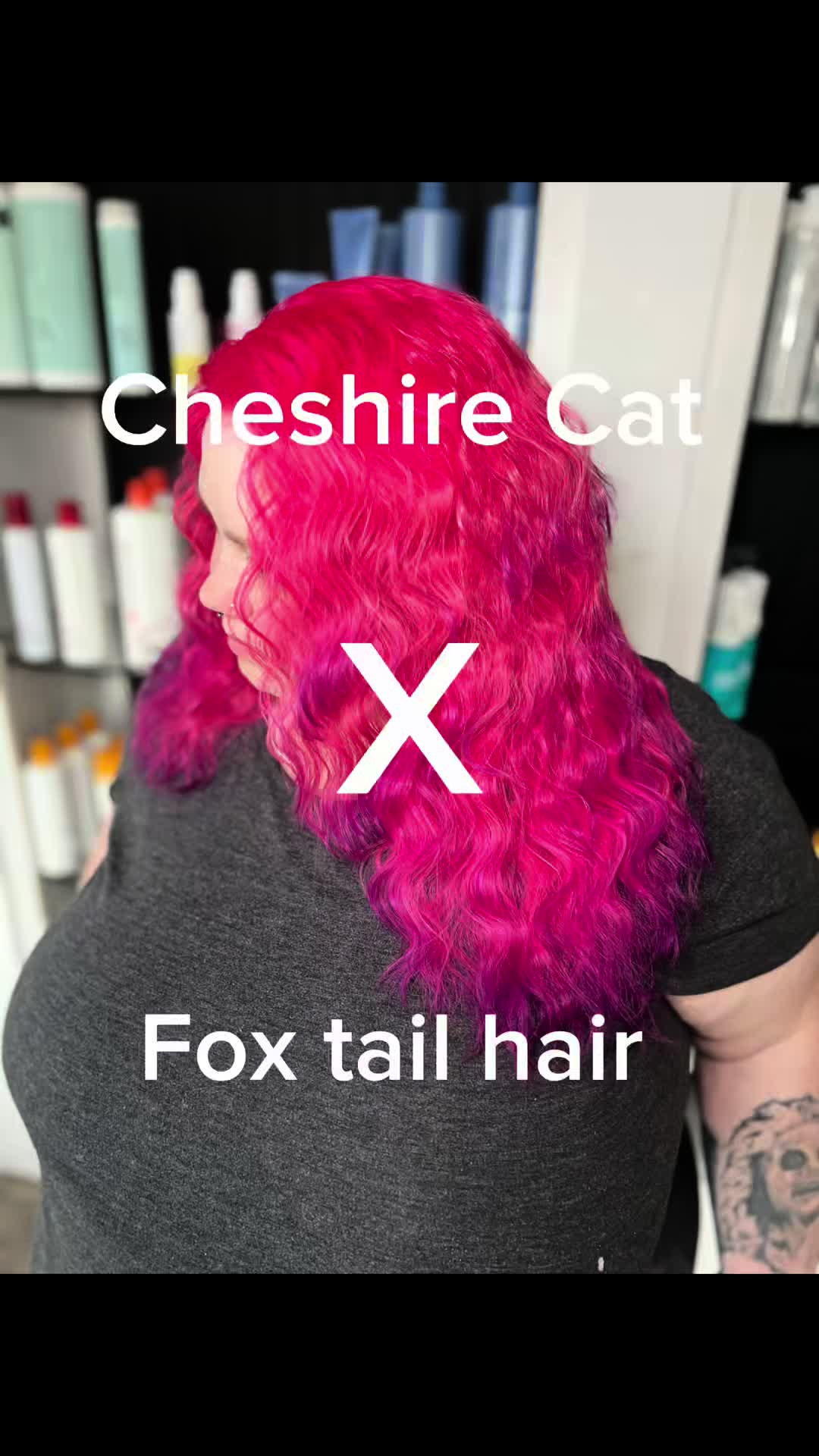 @Fantastic Cat 401