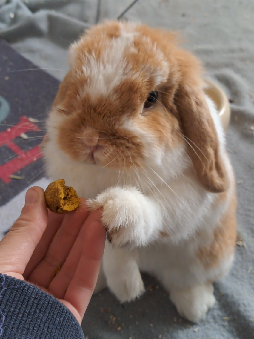 @<3