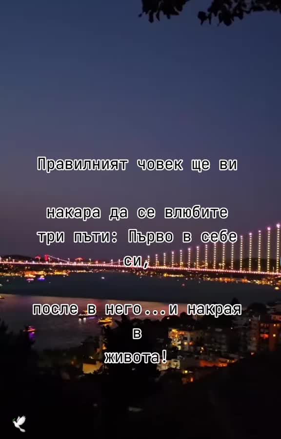 @Anife12