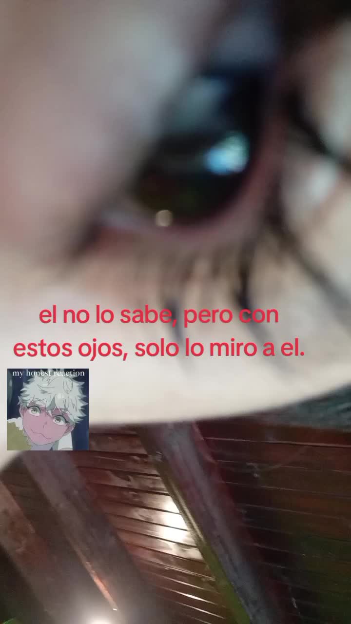 @🤍¡i love my boyfriend¡ ۪໑୧🦢