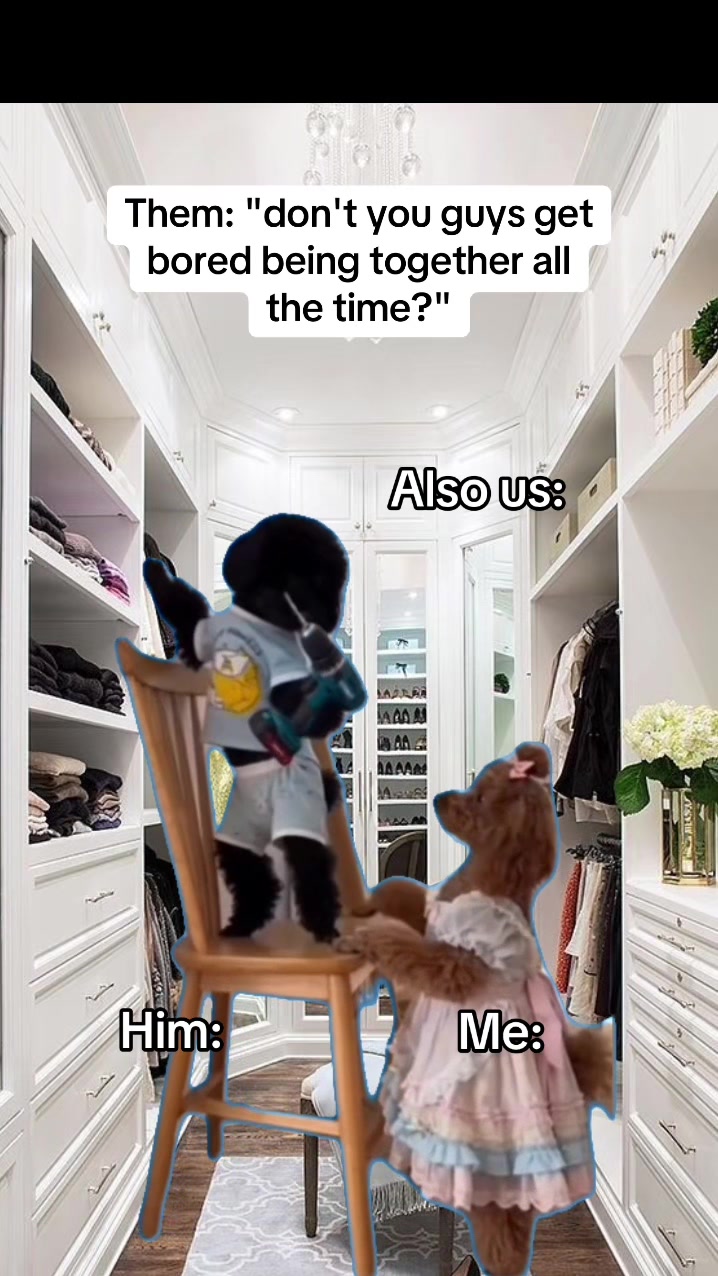 @kalico386