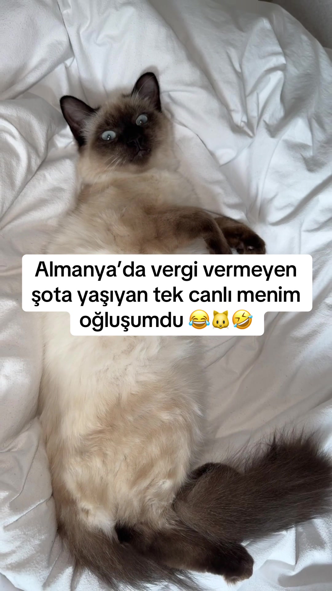@yuyu