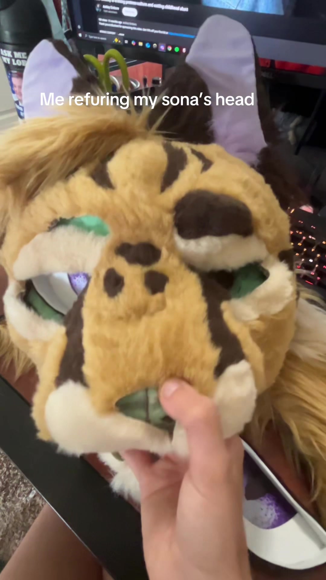 @JudasTheServal