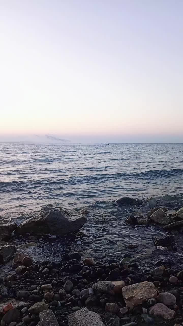 @ALL&Uuml;Ş 🐯KAPLAN🐅