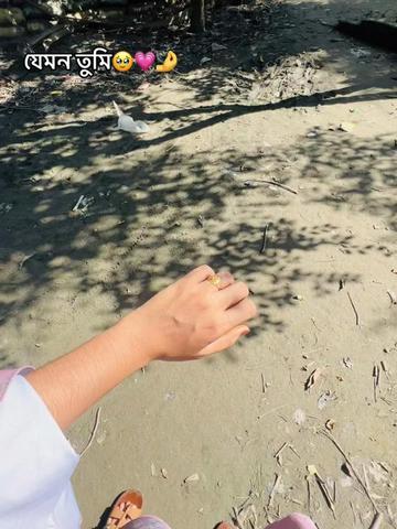 @ᥫ᭡⏤͟͟͞͞ 𐙚-𝐌𝐨𝐌𝐨-❓🦄𓍯