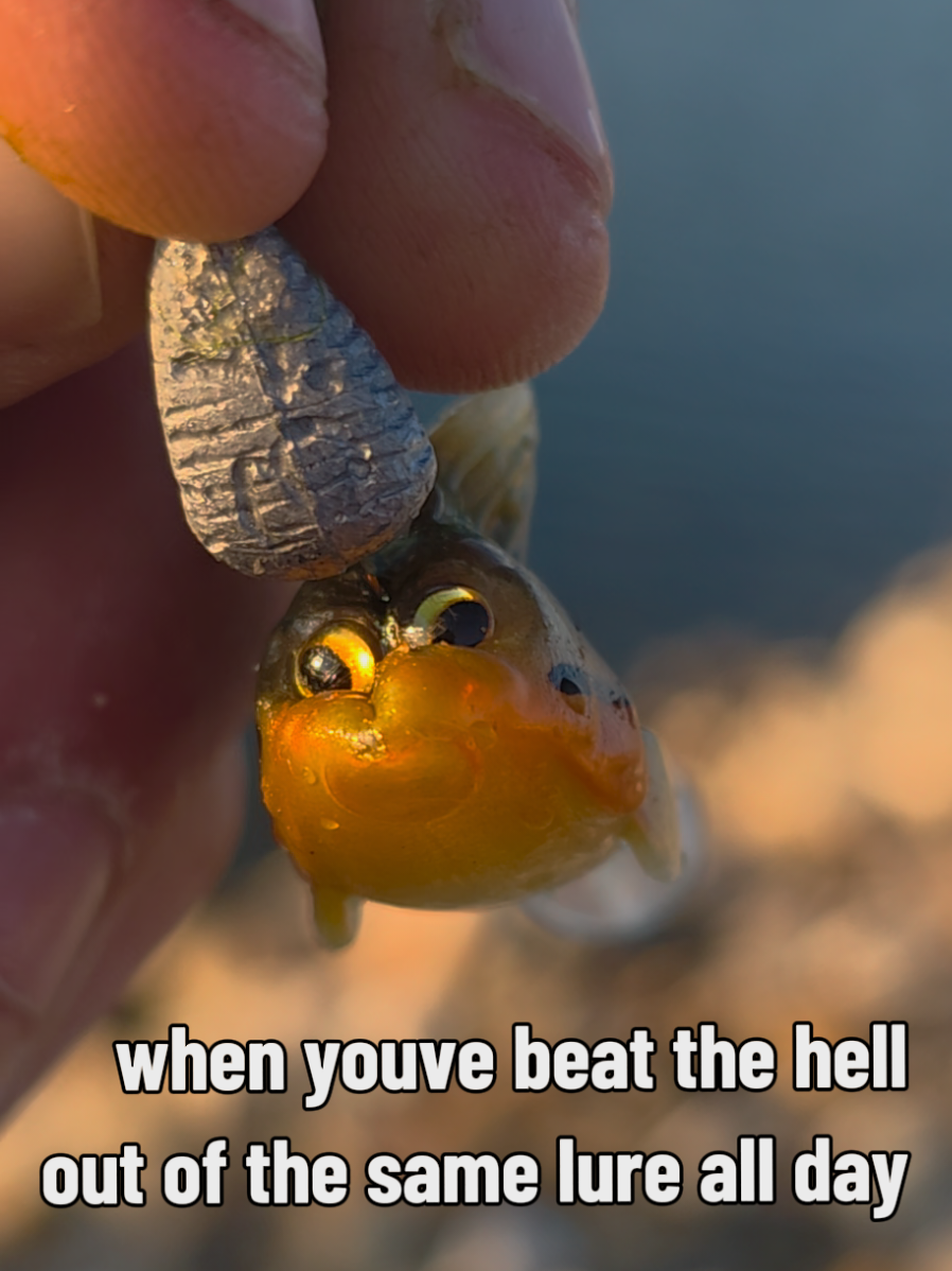 @The Smallie Pirate