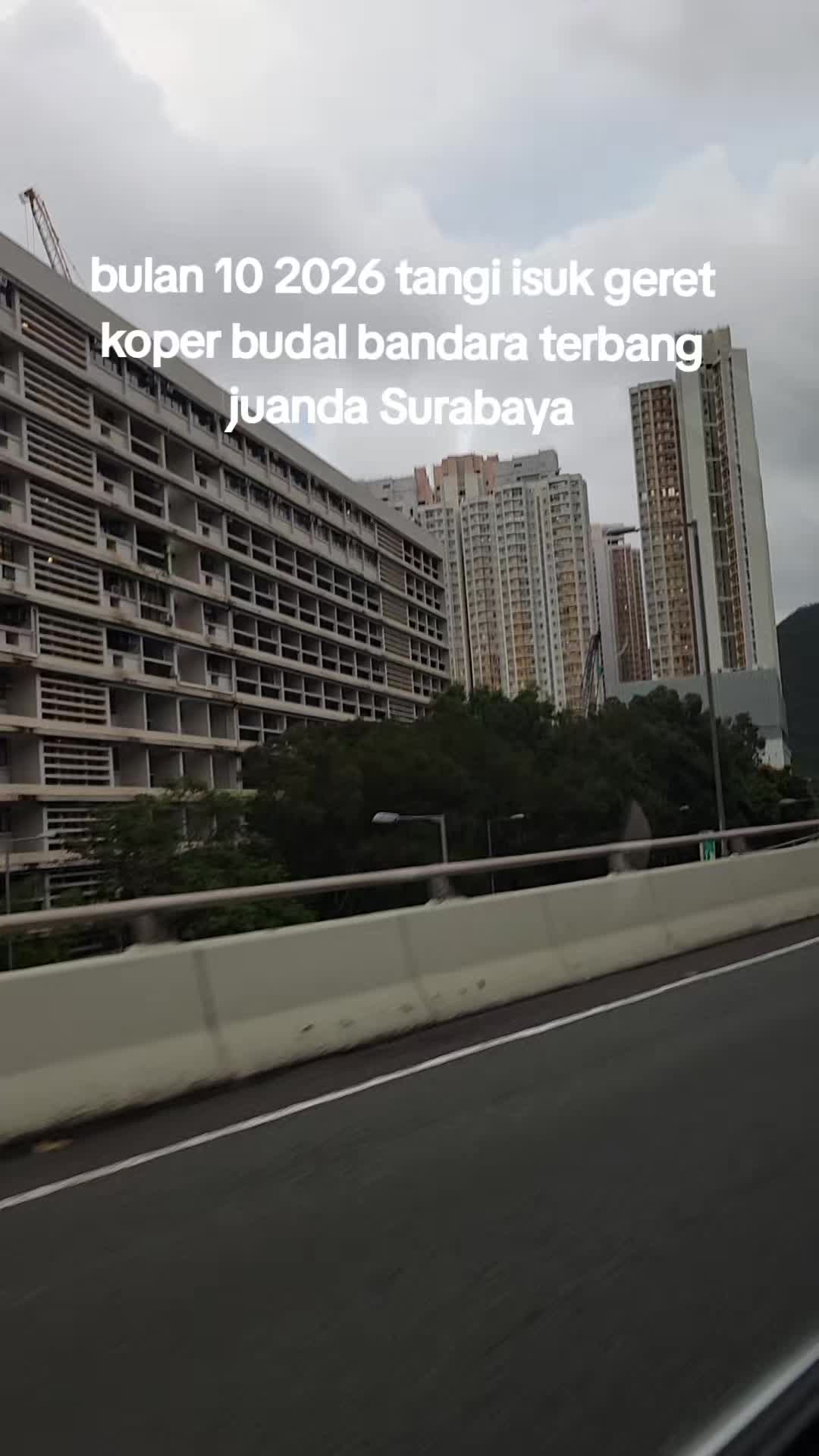 @bunga pus