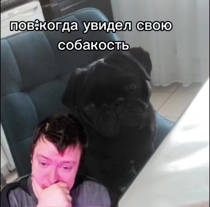 @ferrym