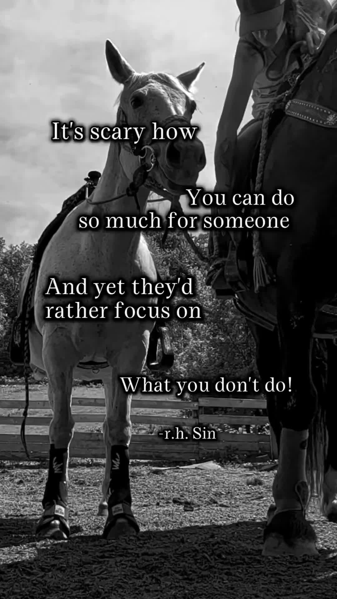 @RogueCowPonies
