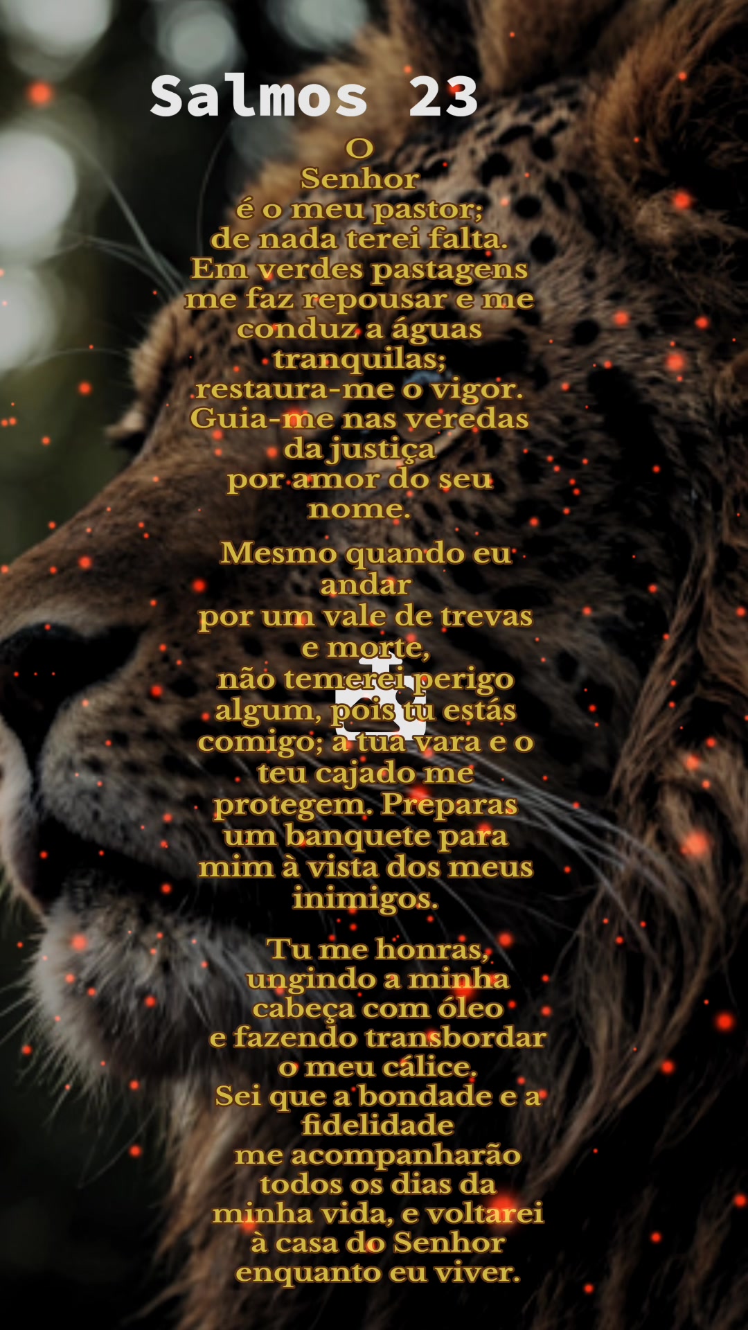 @Bruna M Caneppelle