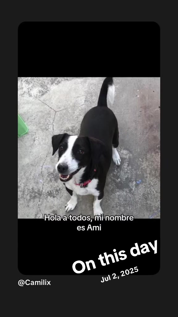 @Alexis Larco