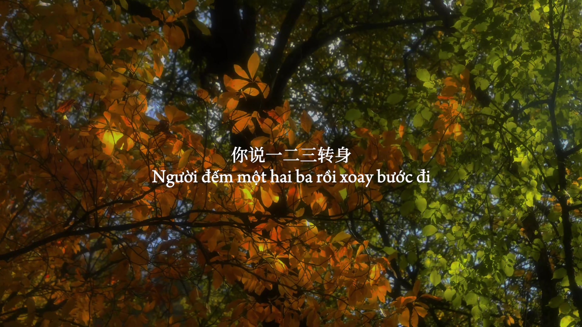 @𝒐 𝒅𝒂𝒚 𝒄𝒐 𝒏𝒉𝒂𝒄