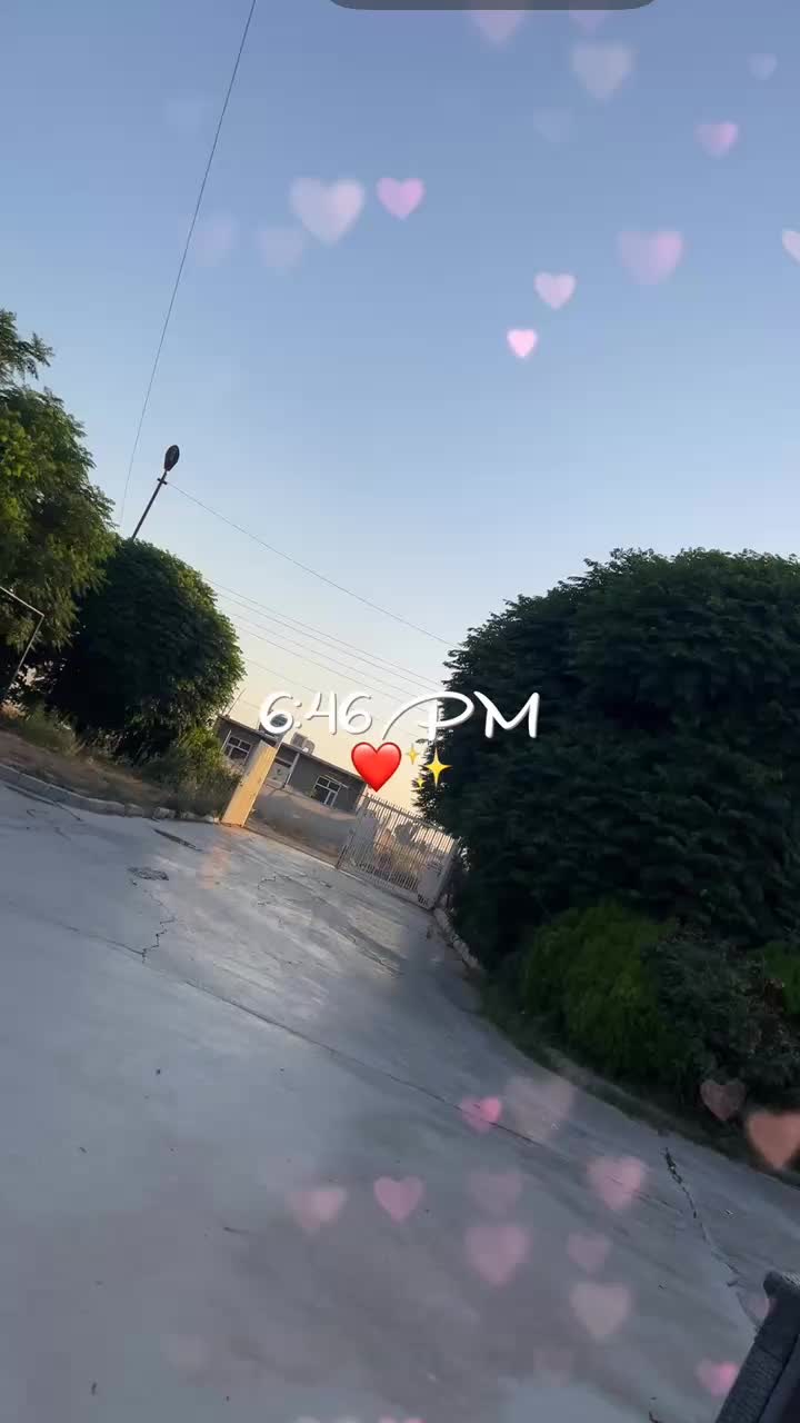 @🤍﮼بەرخە ﮼سپیەکەم