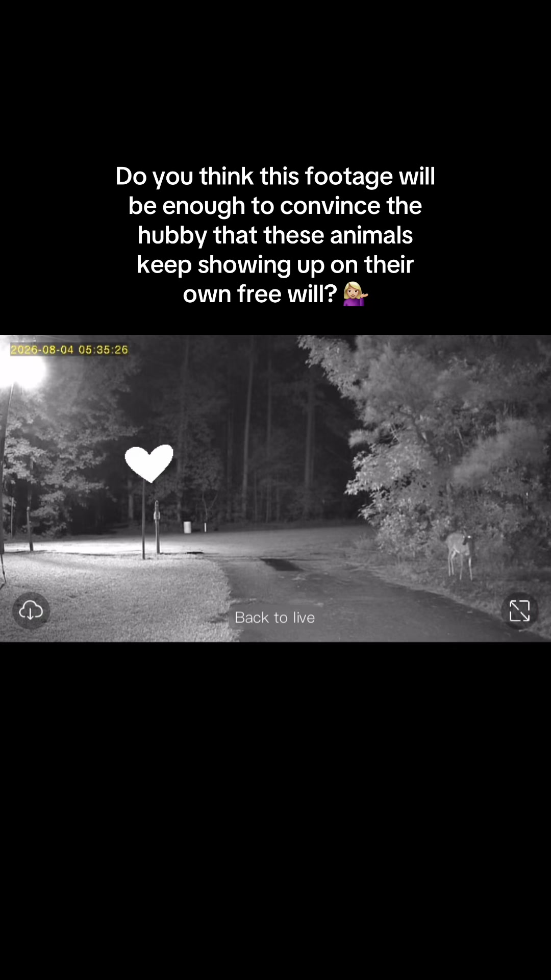 @the_suttles