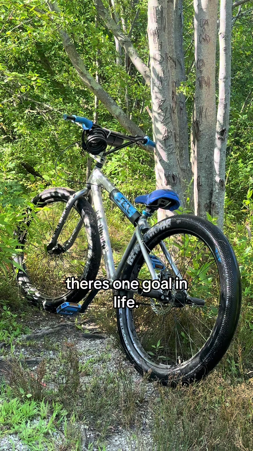 @MSH.rxbmxberg🗡️🏎️
