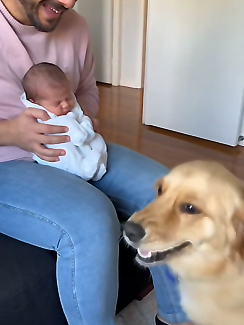 @dogmomentsdaily