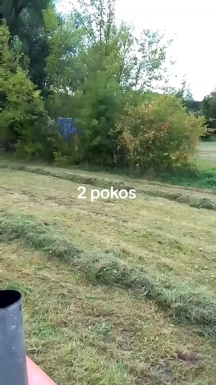 @Damian01