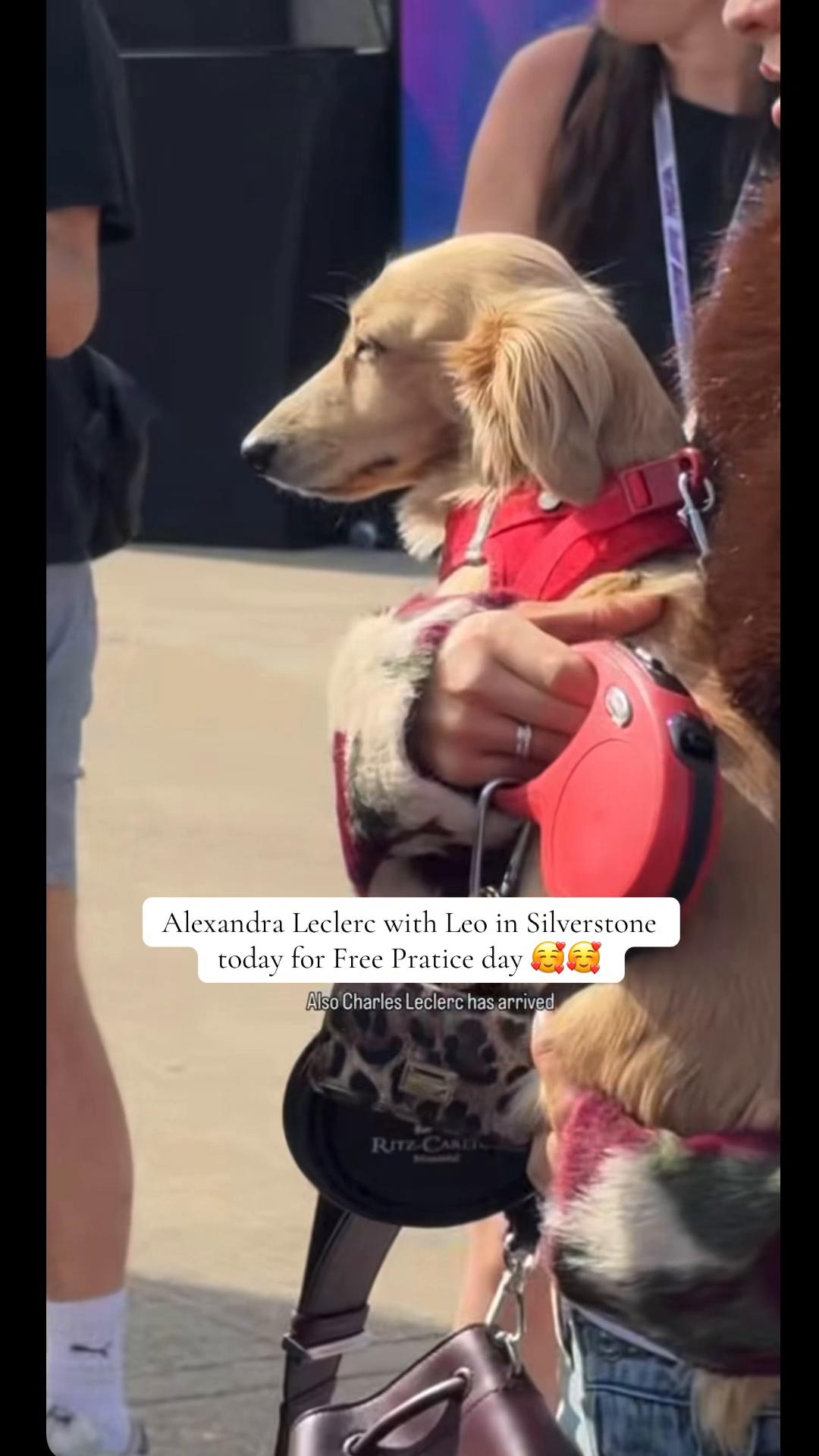 @Alexandra Leclerc 🦋🇲🇽