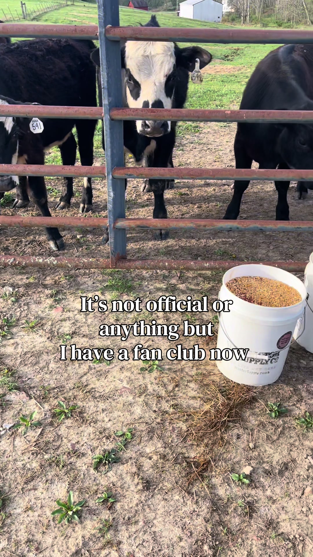 @Sami • LDH Farmstead