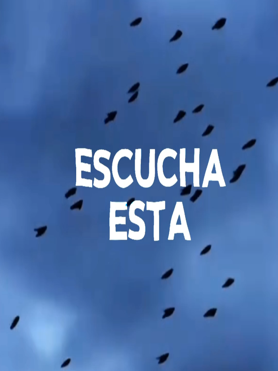 @𝗠𝗨𝗦𝗜𝗖 𝗩𝗜𝗕𝗘𝗦