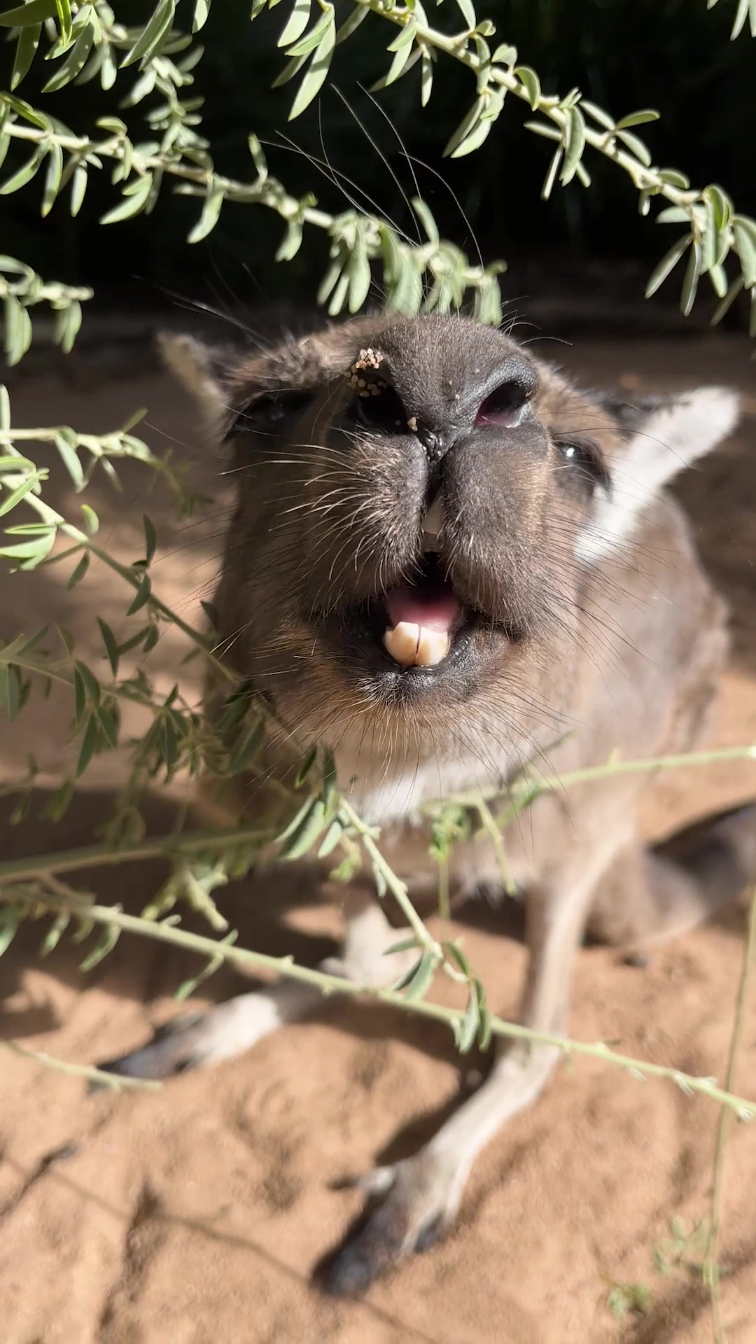 @Perth Zoo