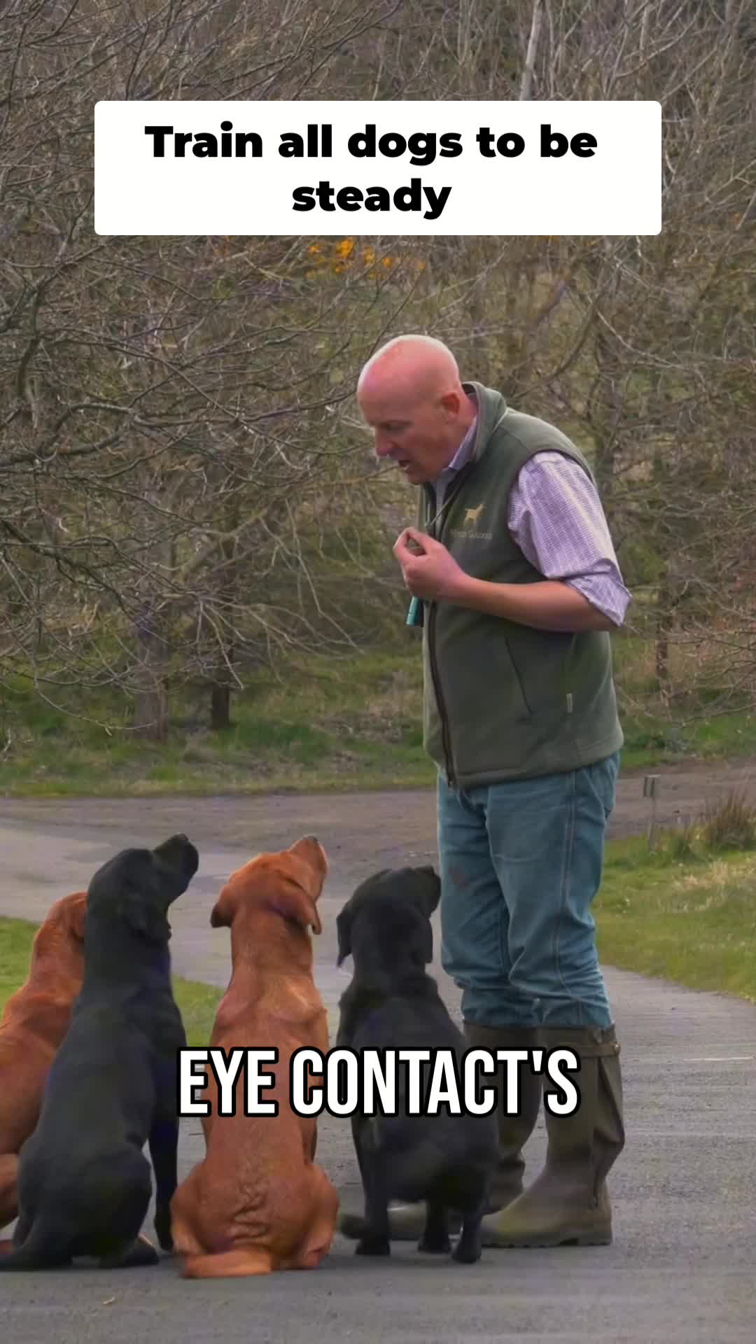 @Mordor Gundogs