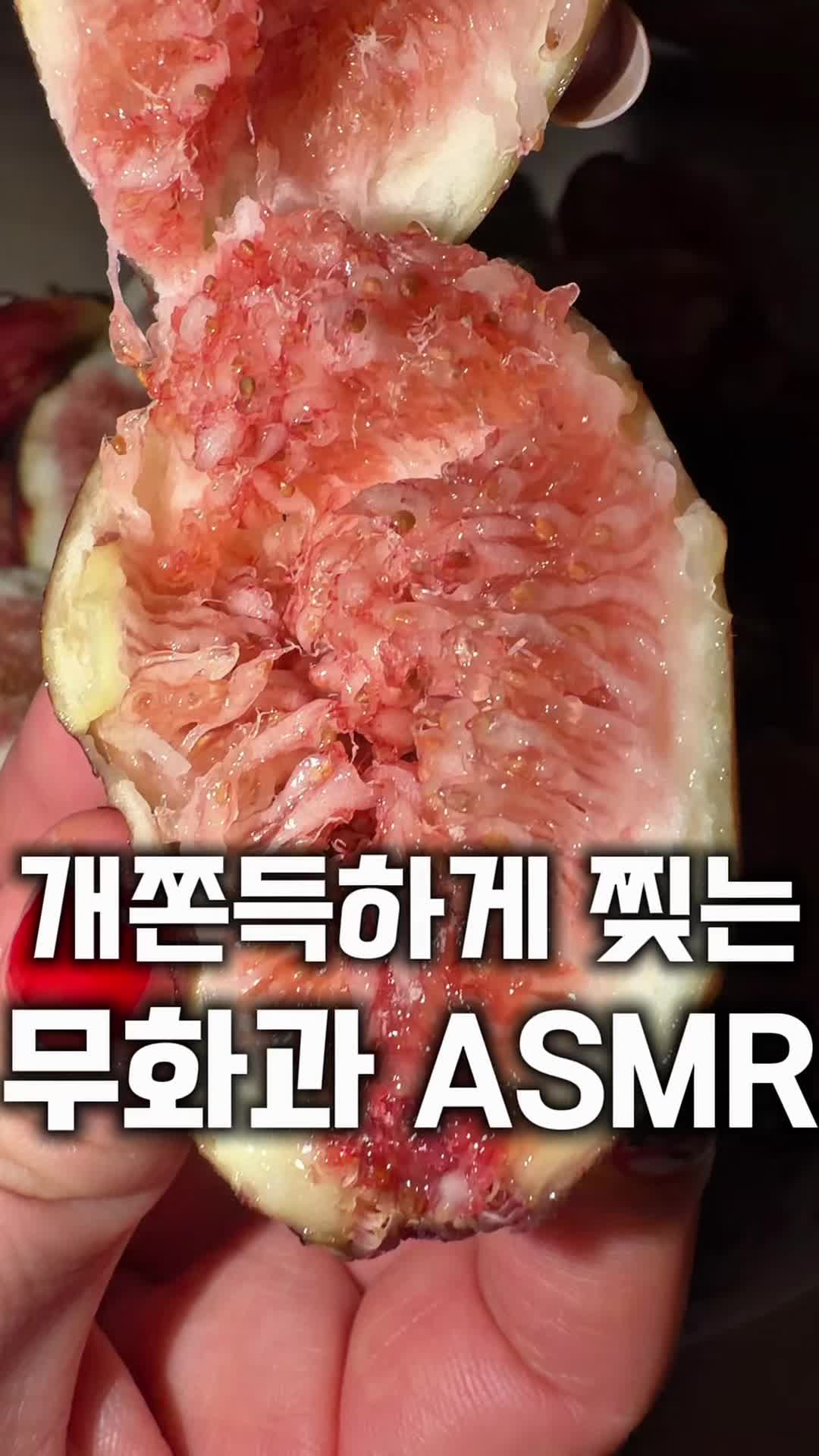 @먹보패밀리