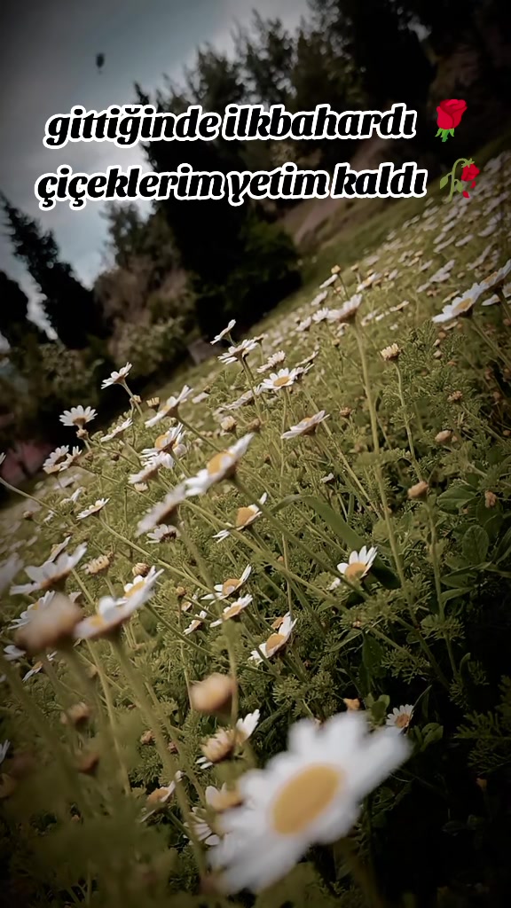 @🖤HaTiCe♥️YuSuF 🖤