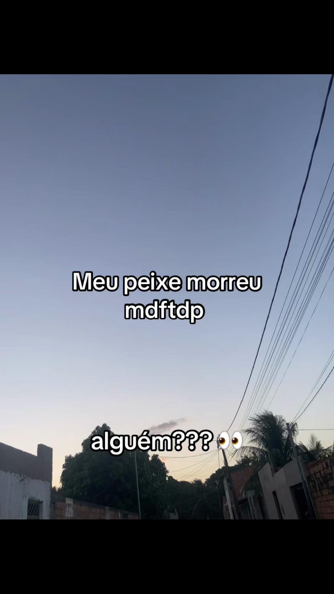 @manuelaypriv