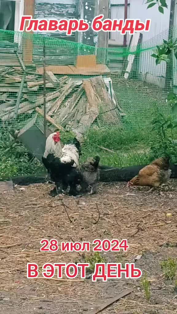 @«рождённый в СССР»