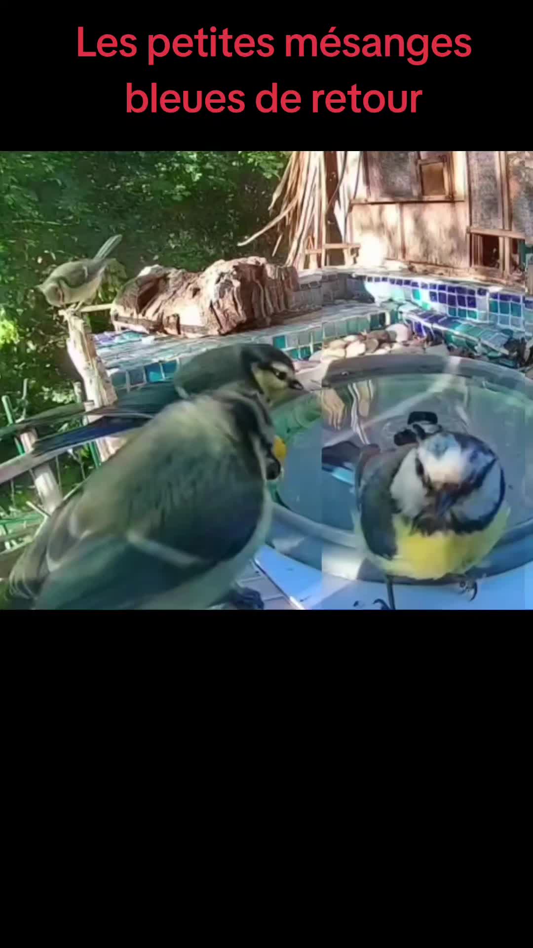 @A la D&eacute;couverte du Monde