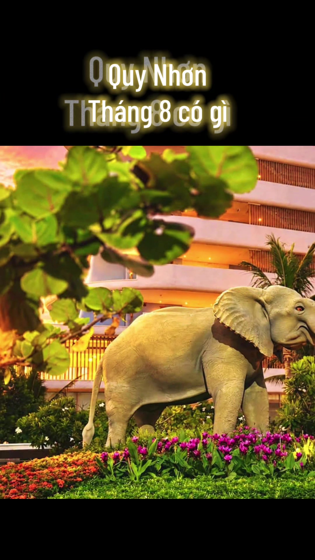 @Đầu tư BĐS Quy Nhơn