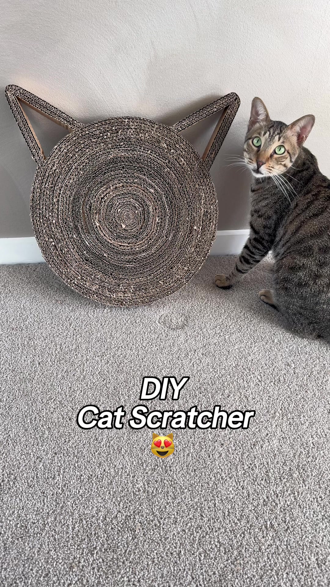 @Cat Tigrous