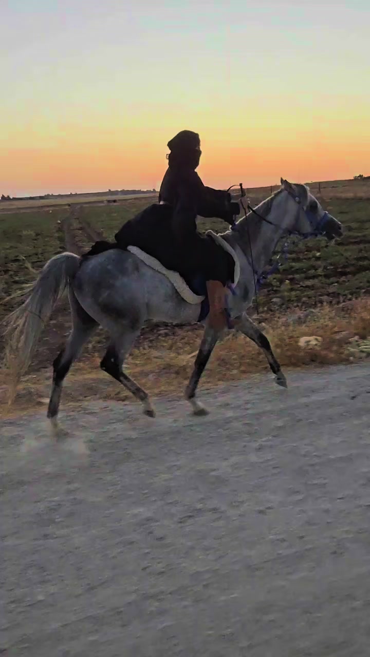 @الفارسة الملثمة 🐎🥷