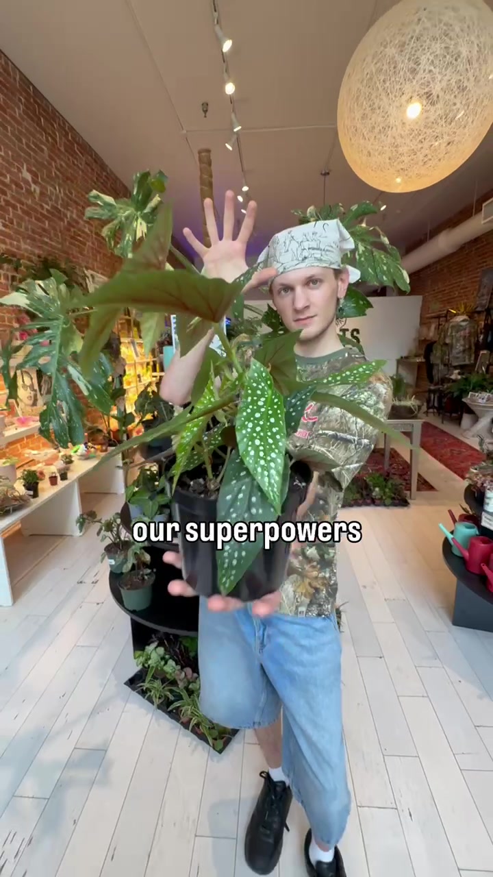 @Rootskc