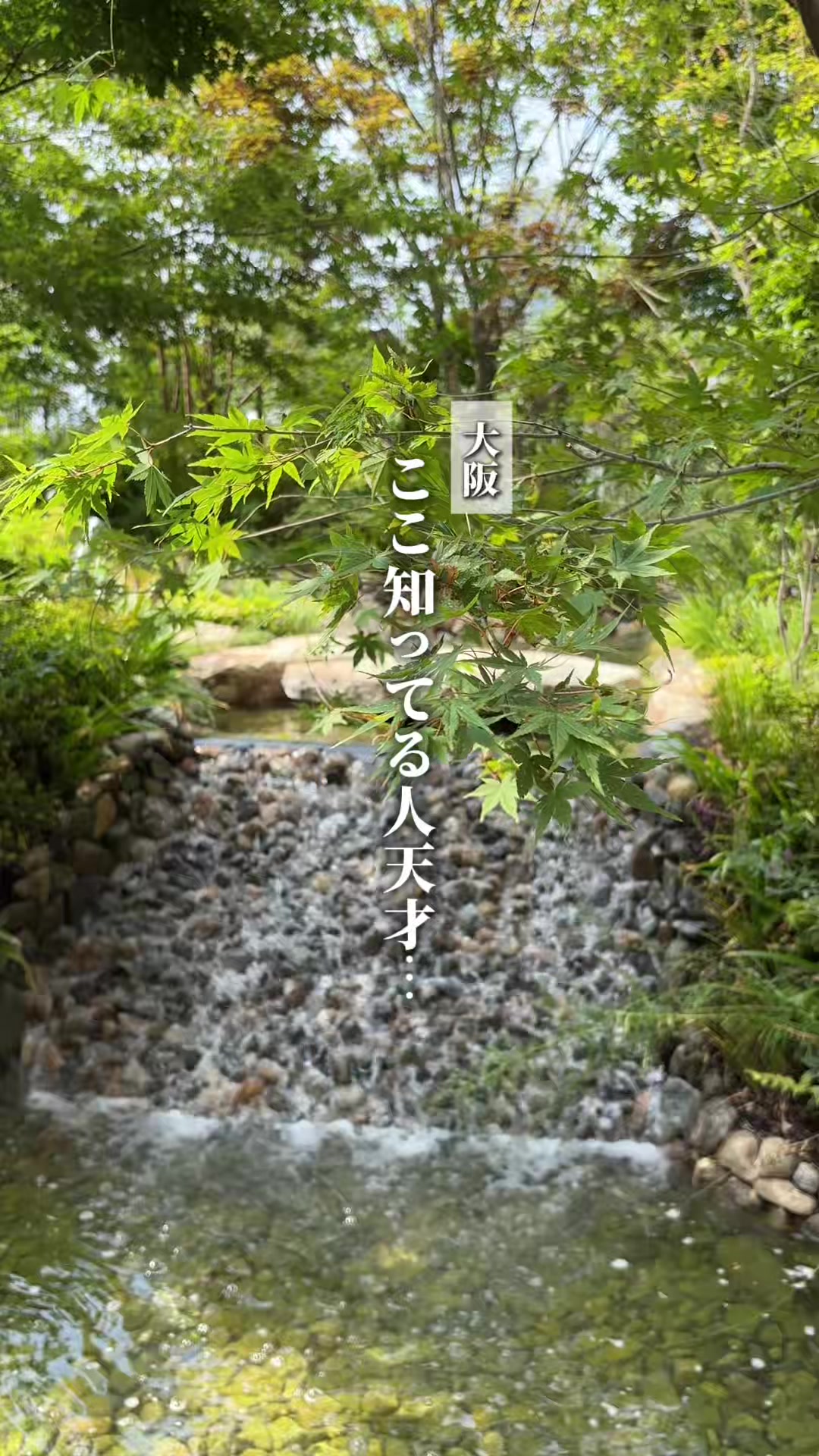 @はる | 大阪デートの案内人☀️