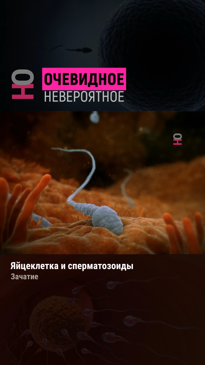 @Очевидное | Невероятное