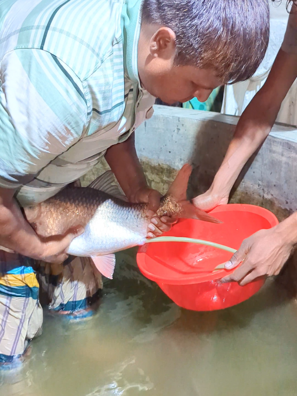 @Fish Lovers Bangladesh