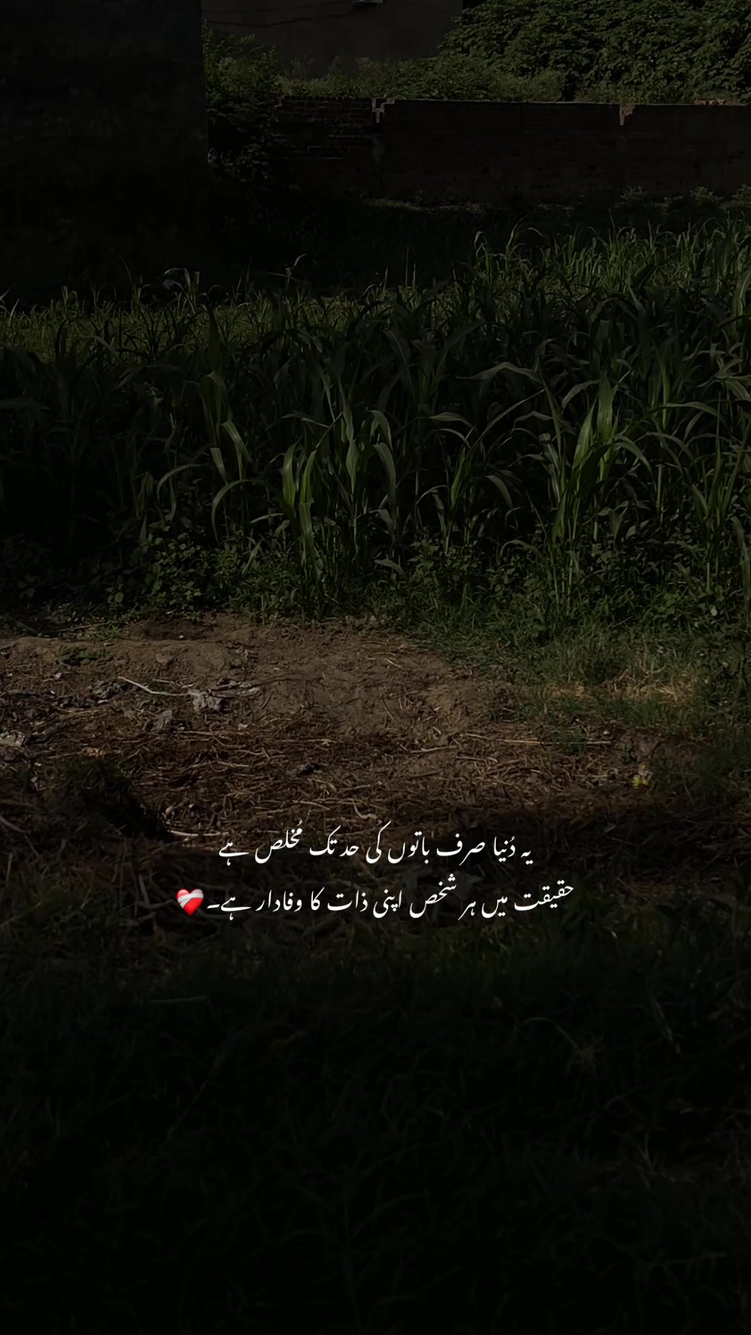 @ع🩹❤️🩹