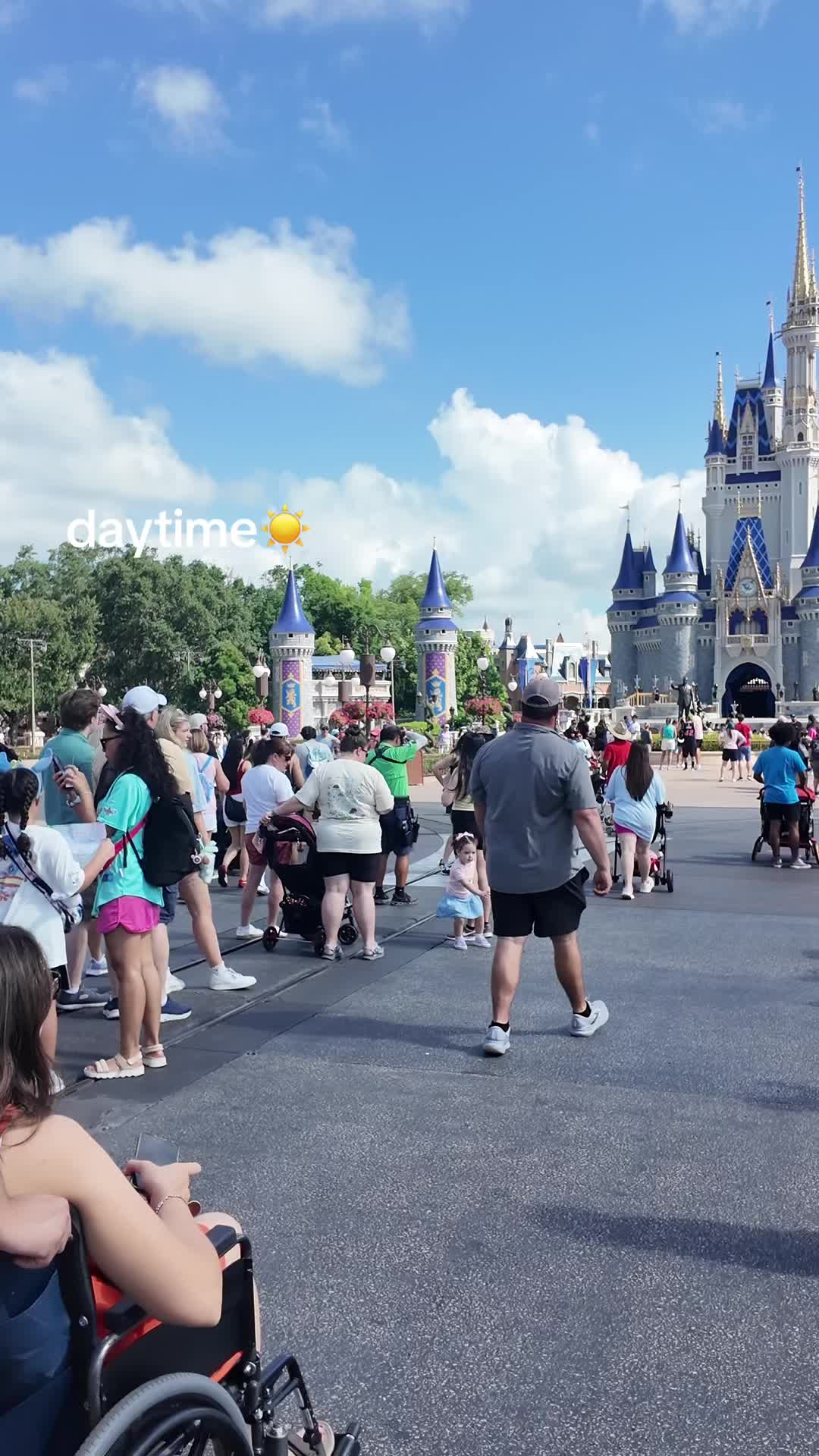 @Lexi 🌷