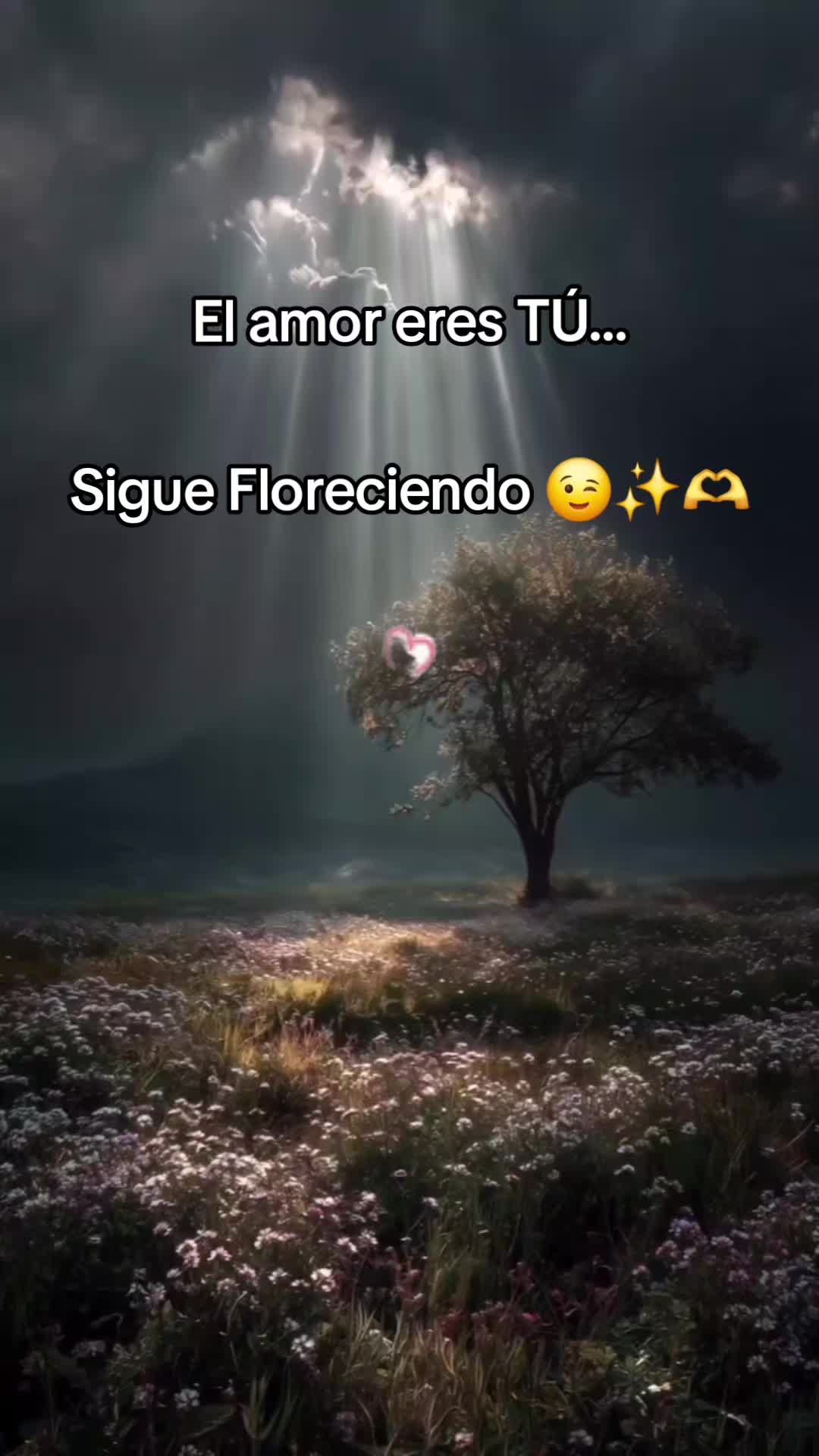 @vanequeenmusic