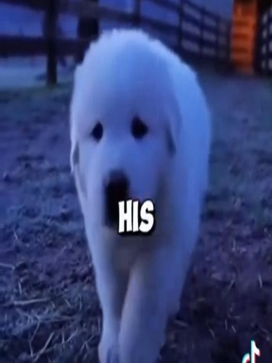 @Mario_123