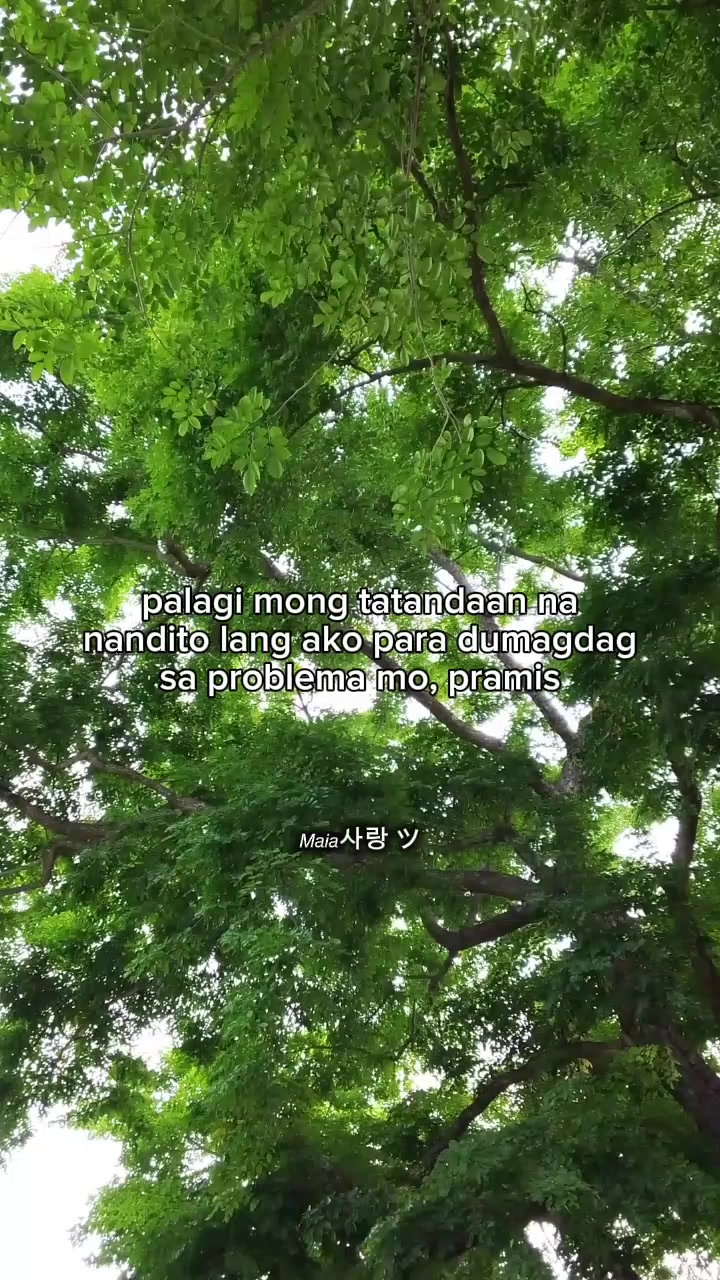 @𝘔𝘢𝘪𝘢사랑 ツ