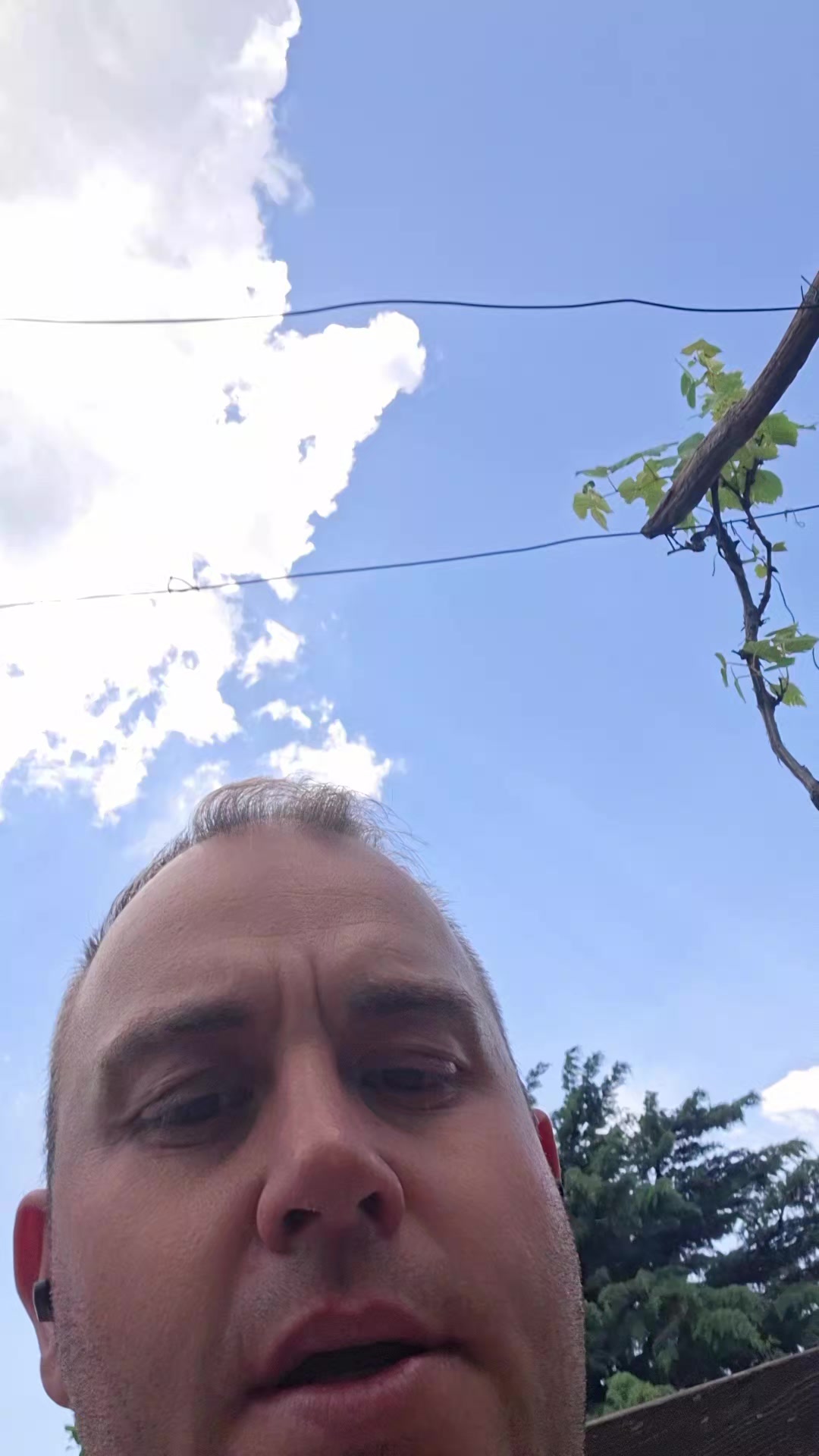 @Lorenzo Iacobi