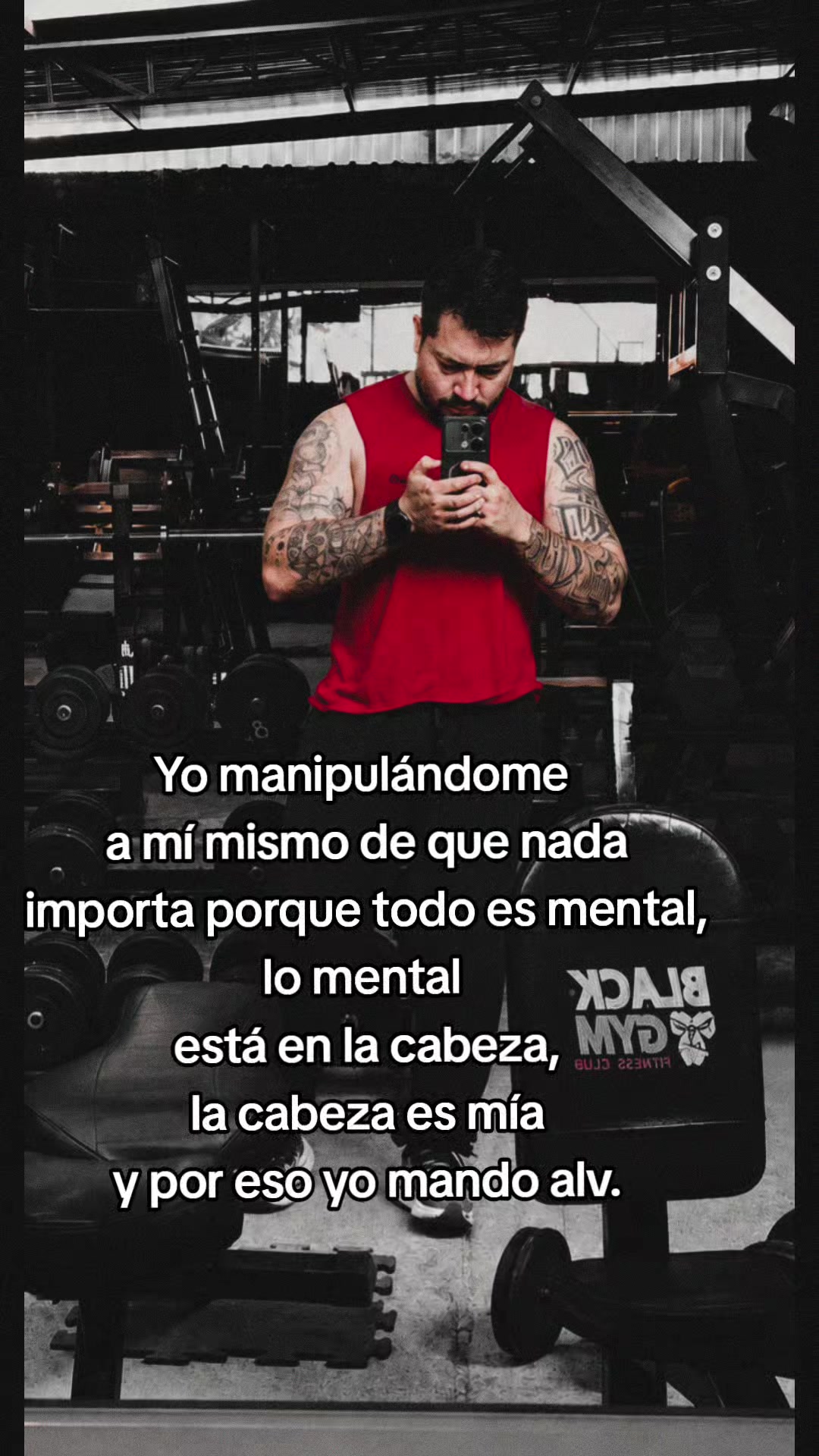@Tavozdk