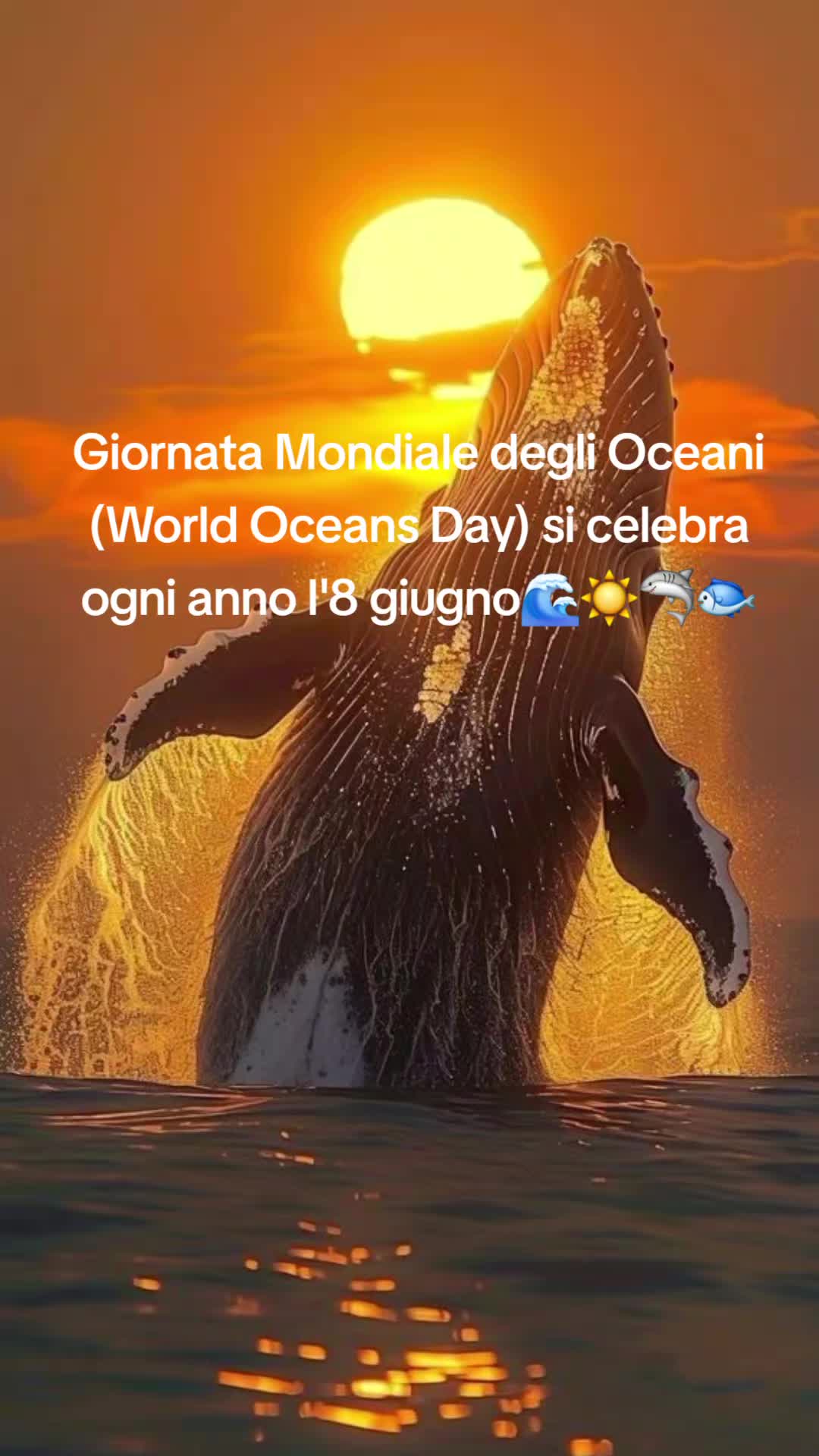 @Gionni D. M.